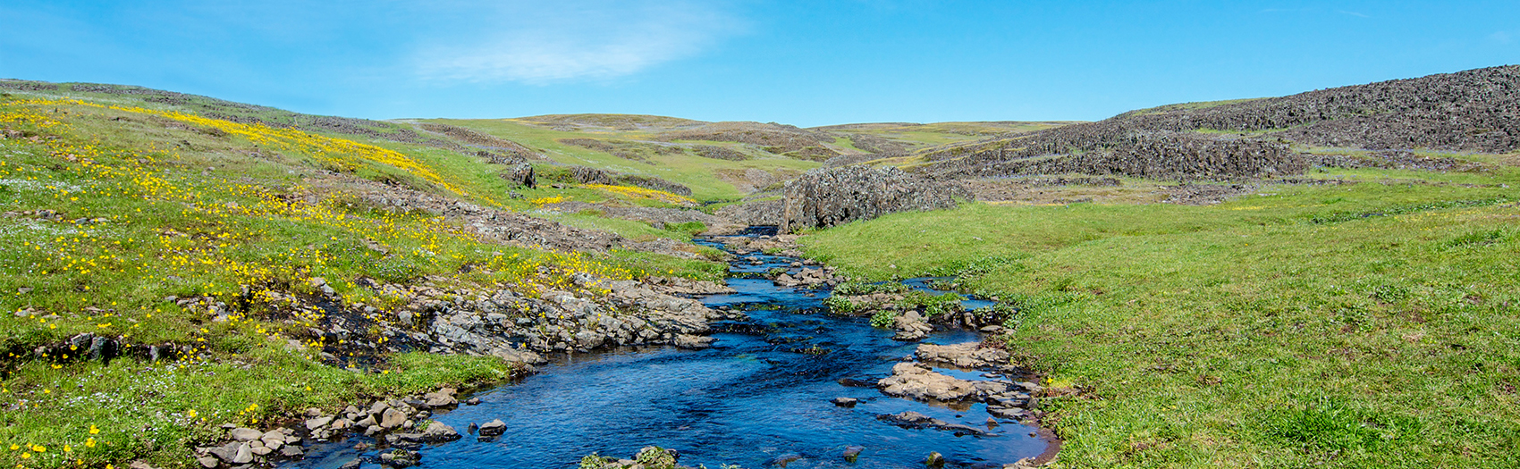 A creek running between two green fields of grass